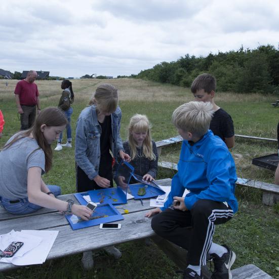 billede af børn og unge der arbejder i naturen