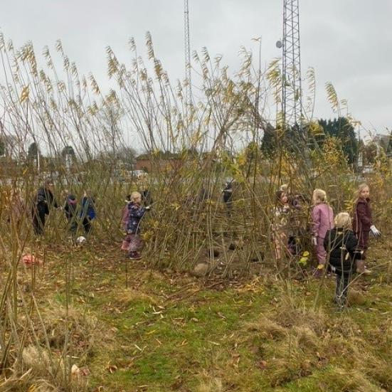 Billede af mikroskov
