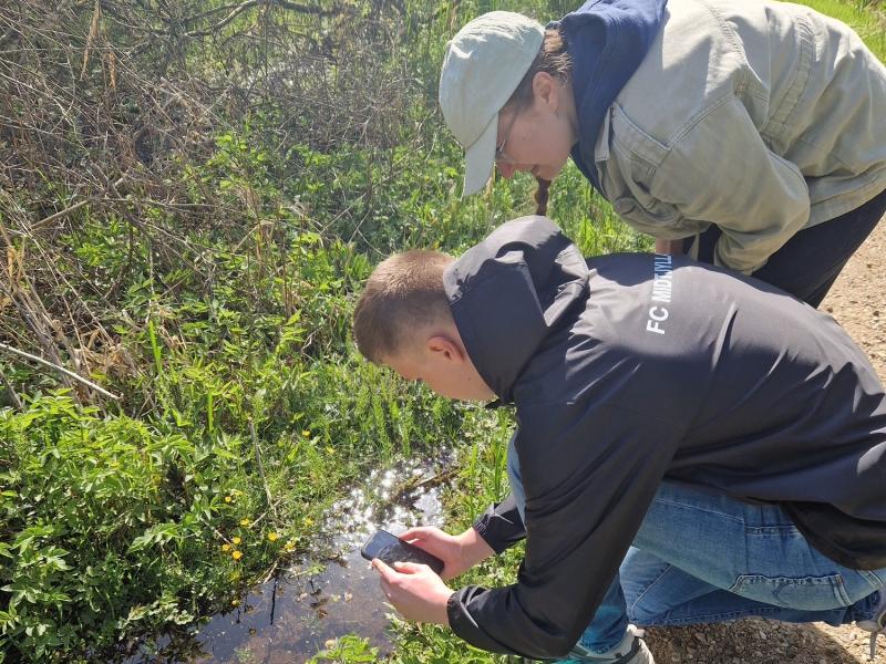 Drenge i naturen tager billede af blomst ved å med deres mobiltelefon
