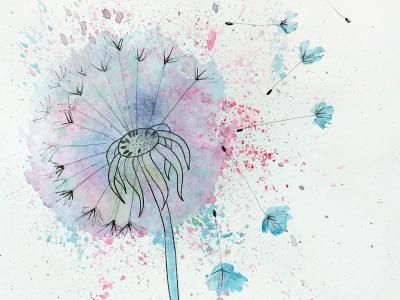 akvarel sprøjt tegnet mælkebøtte i frø