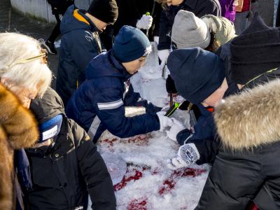 billede af børn der prøver at lave isskulpturer