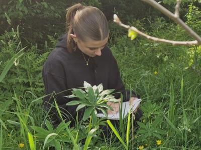 billede af siddende pige der studerer blomster ude i skoven