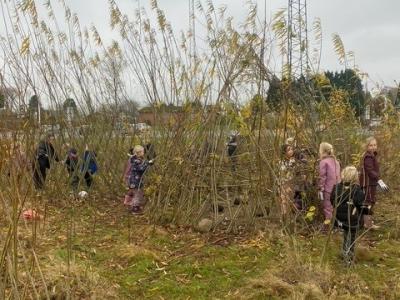 Billede af mikroskov