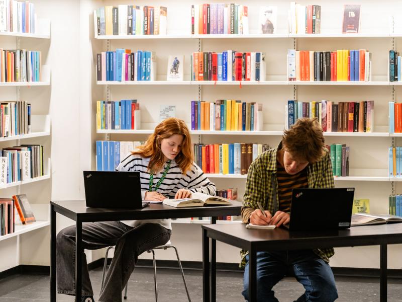 Billede af to studerende