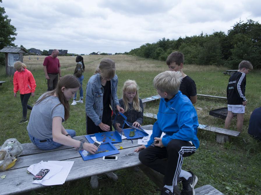 billede af børn og unge der arbejder i naturen