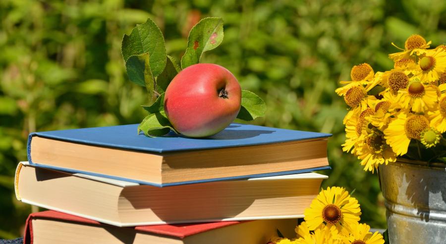 Billedet forestiller et æble på en stak bøger. Ved siden af er der en krukke med gule blomster.