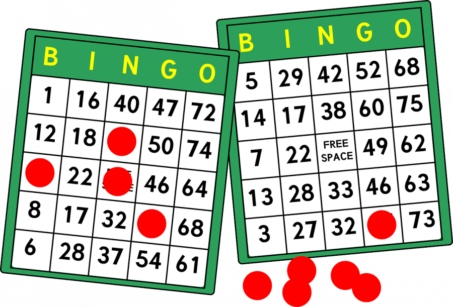 Billedet viser to bingoplader med enkelte brikker på.