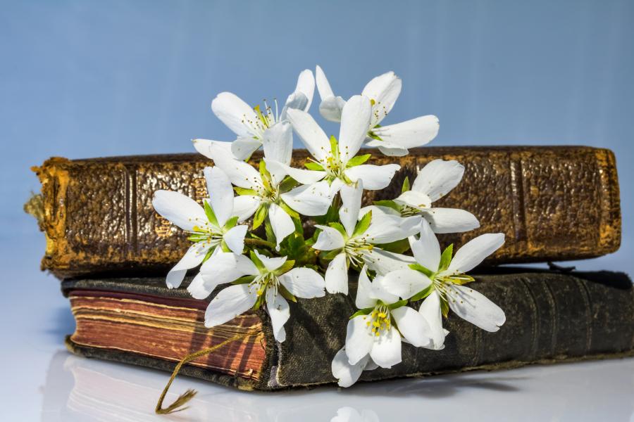 Billedet forestiller to gamle bøger og en lille buket blomster.